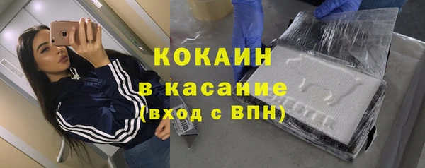 сатива Арсеньев