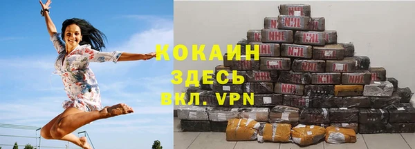 сатива Арсеньев
