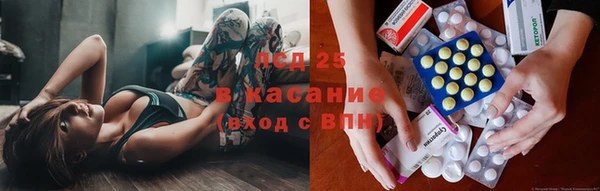сатива Арсеньев