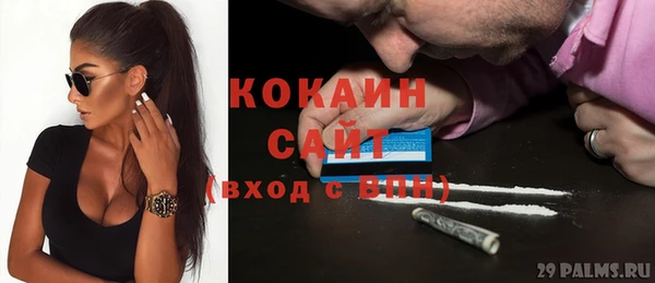 сатива Арсеньев
