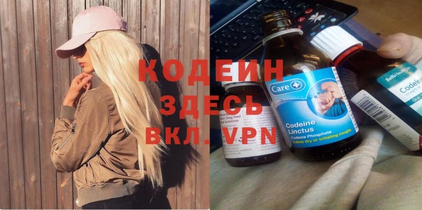 шишки Осинники