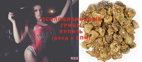 сатива Арсеньев
